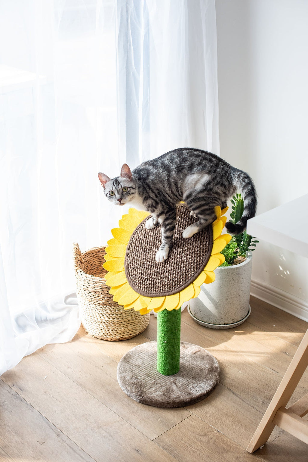 Catry Sunflower Cat Scratcher