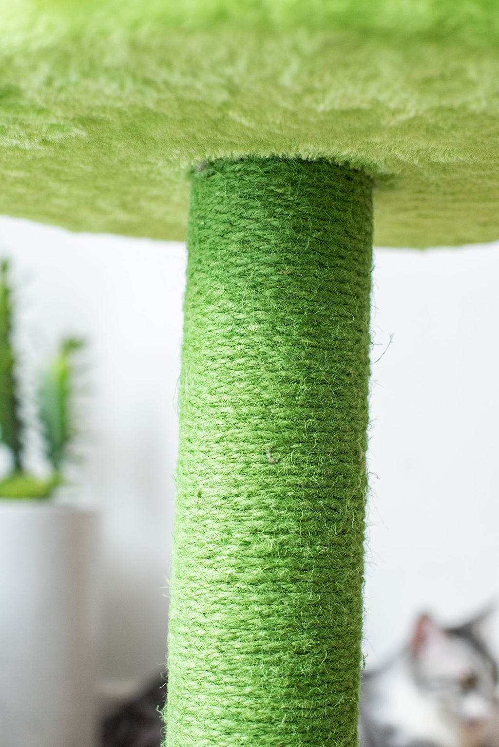 Catry Sunflower Cat Scratcher