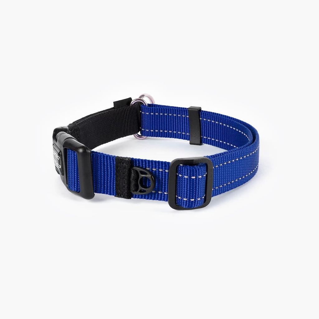 Checkmate™ Collar