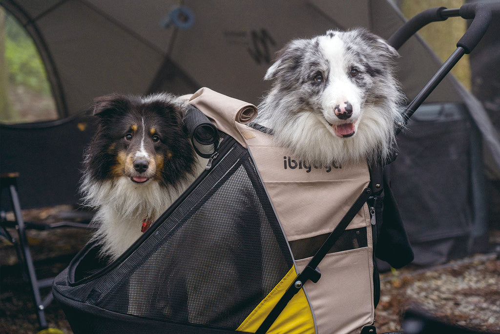Ibiyaya Minika 3-in-1 Pet Stroller System with Foldable Dog Bicycle Trailer & Indoor-Outdoor Kennel