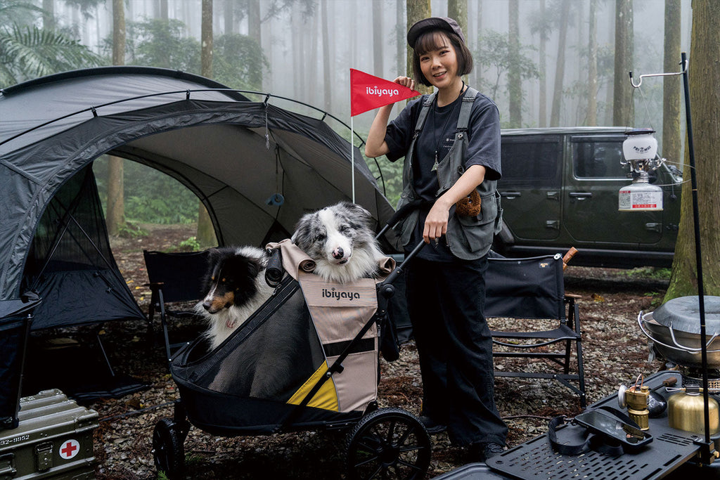 Ibiyaya Minika 3-in-1 Pet Stroller System with Foldable Dog Bicycle Trailer & Indoor-Outdoor Kennel