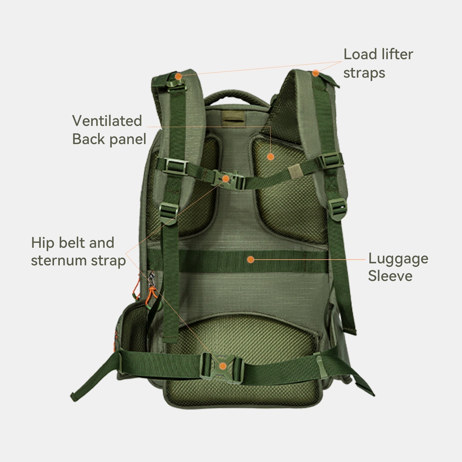 PETSFIT WILDPATH Pet Carrier Backpack for Hiking for Small Dogs & Cats