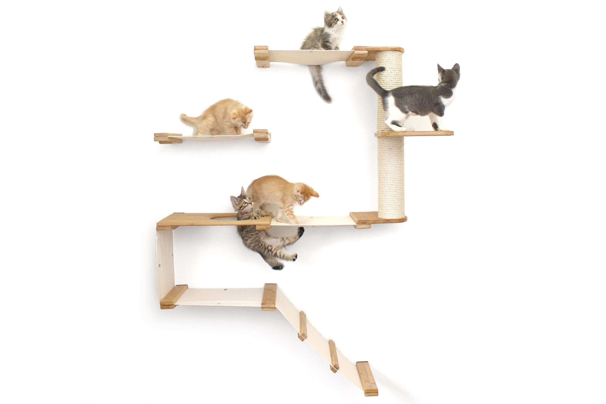 The Deluxe Cat Fort - Modern Cat Condo