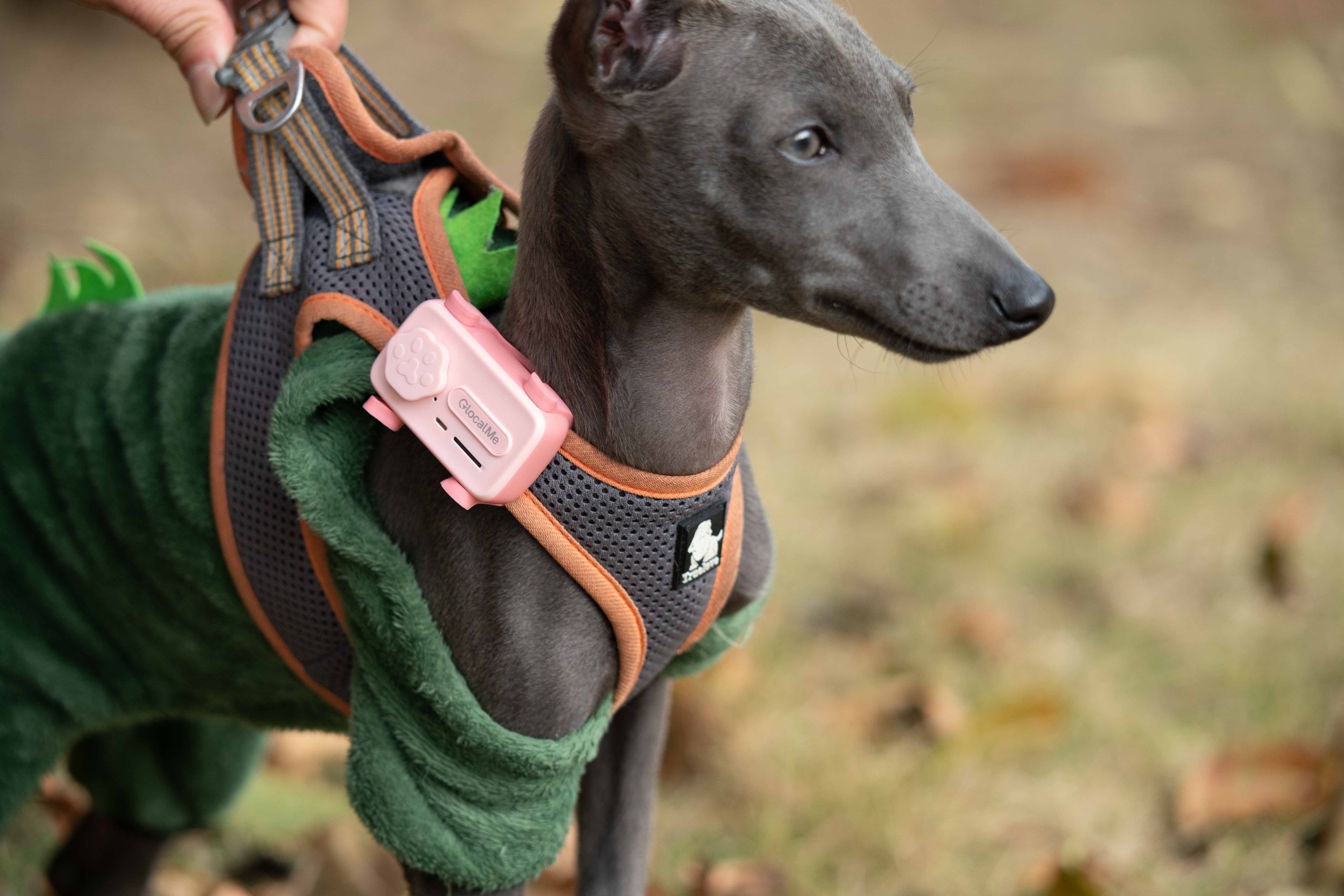 GlocalMe PetPhone – The First Satellite GPS Tracking Smartphone & Activity Tracker Designed For Your Pet