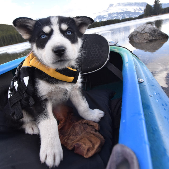 Micro DFD™ Life Jacket