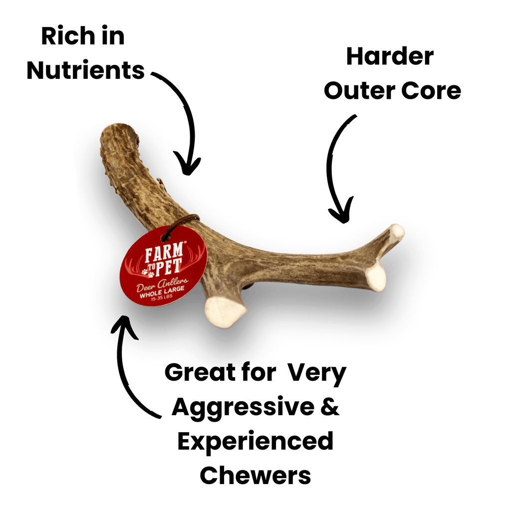 Deer Antlers for Dogs