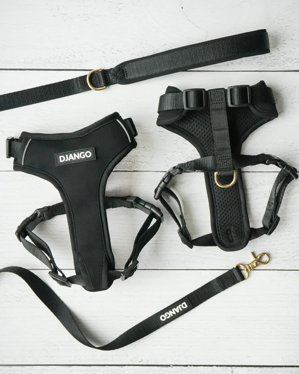 DJANGO Adventure Dog Harness