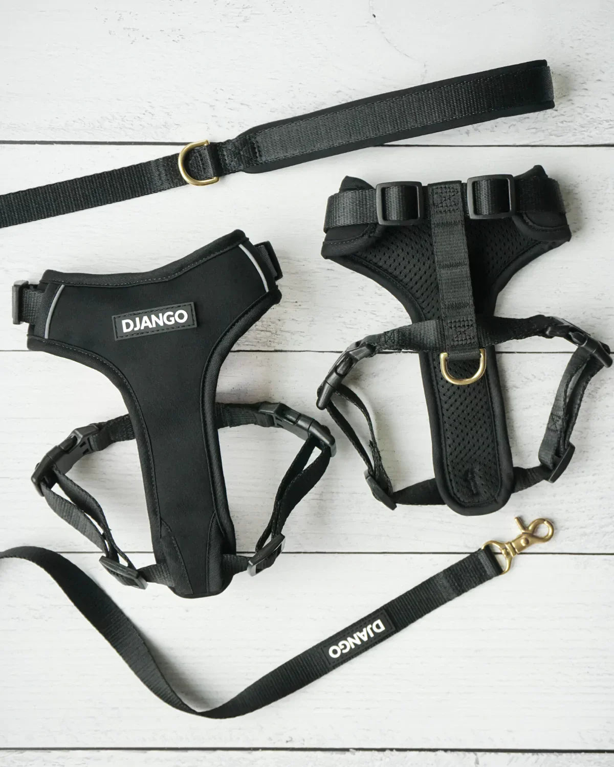 DJANGO Adventure Dog Harness