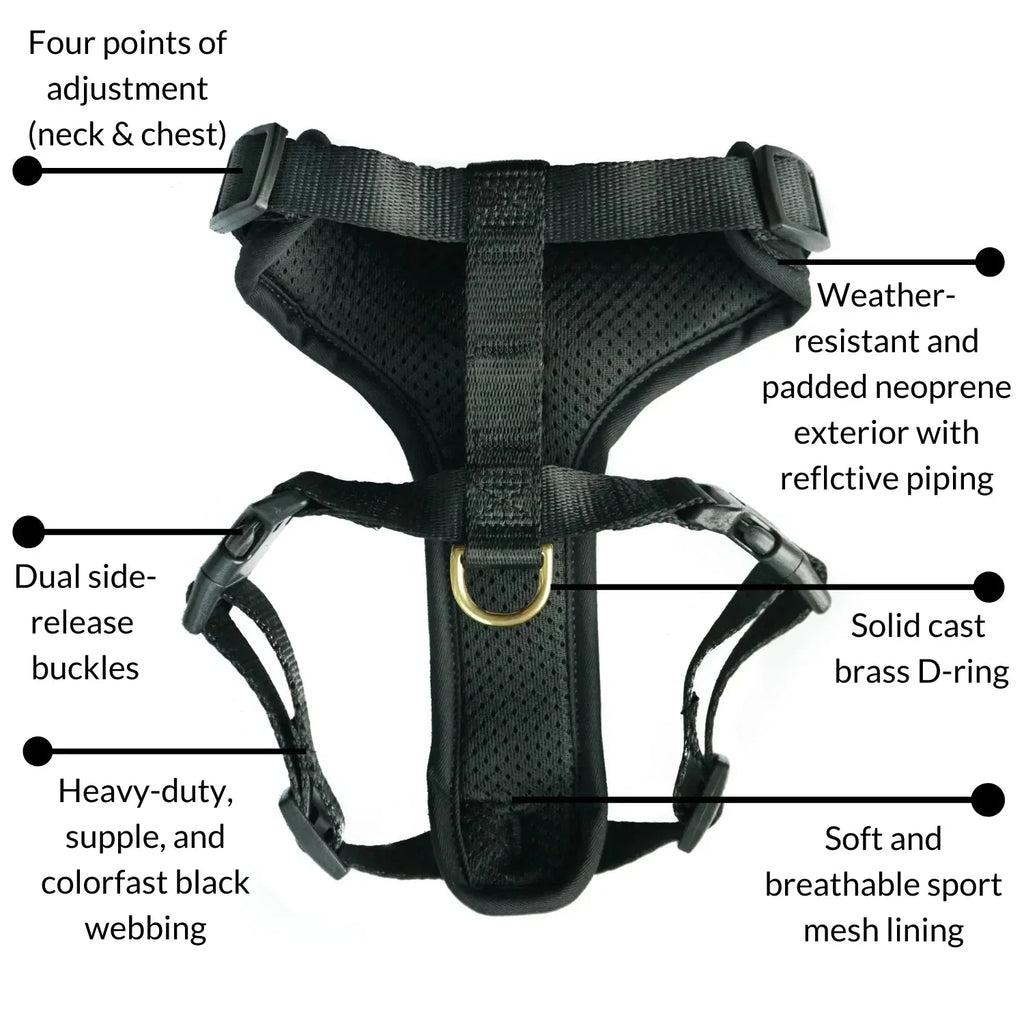 DJANGO Adventure Dog Harness