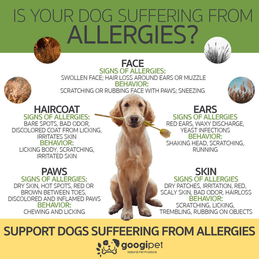 Googipet Allergy & Immune Support Chews for Dogs (Coconut & Carob Flavor)