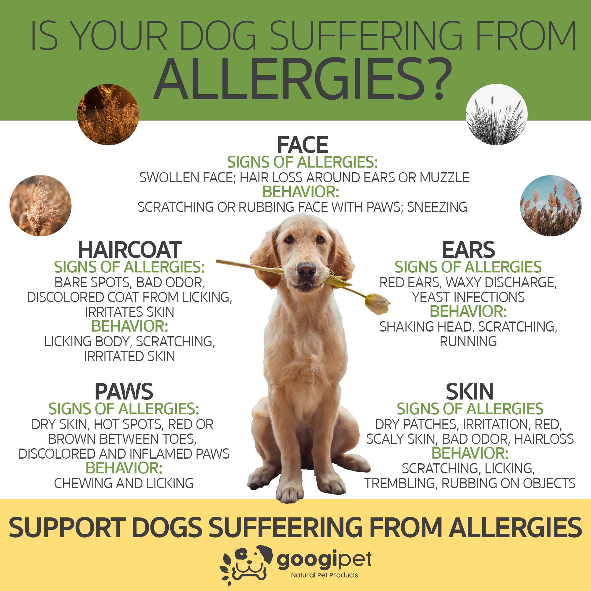 Googipet Allergy & Immune Support Chews for Dogs (Coconut & Carob Flavor)