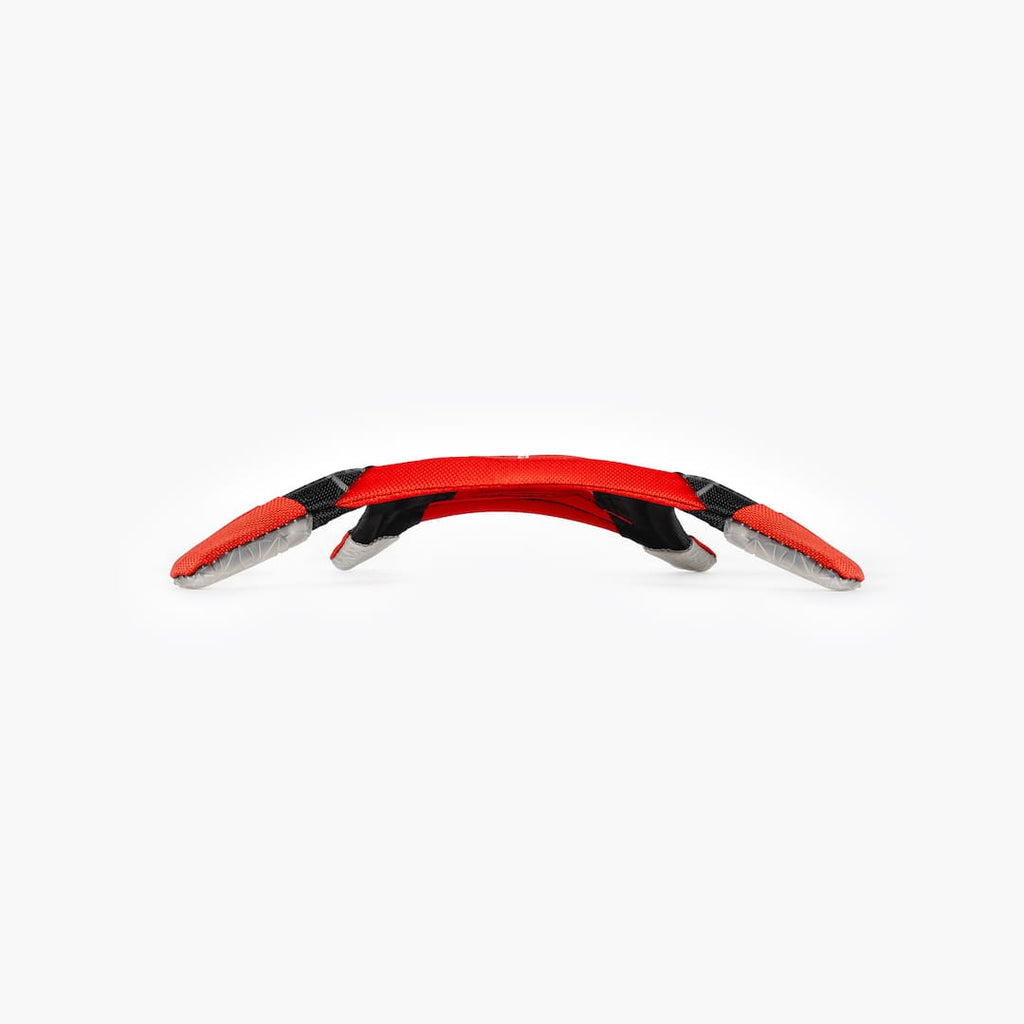 Dogstar™ Flying Disc