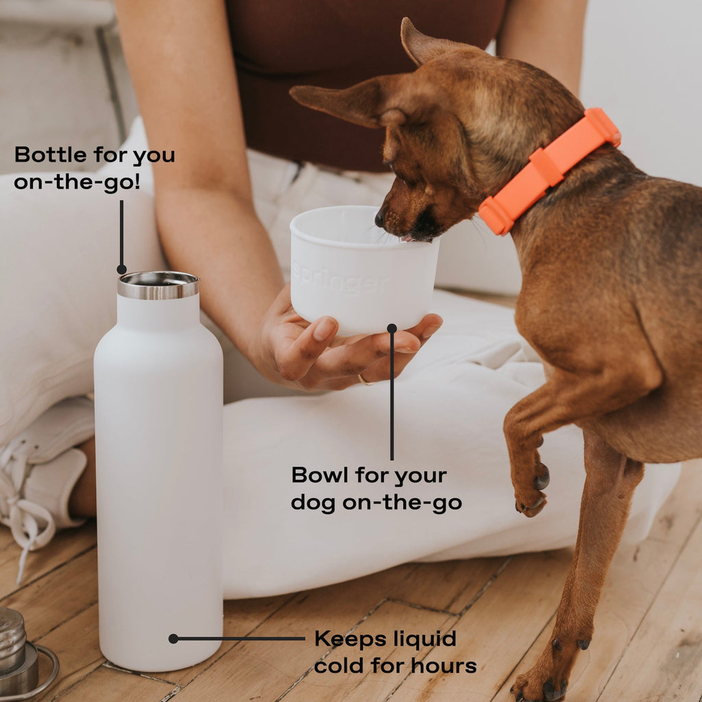 Springer 24oz Dog & Me Insulated Water Bottle
