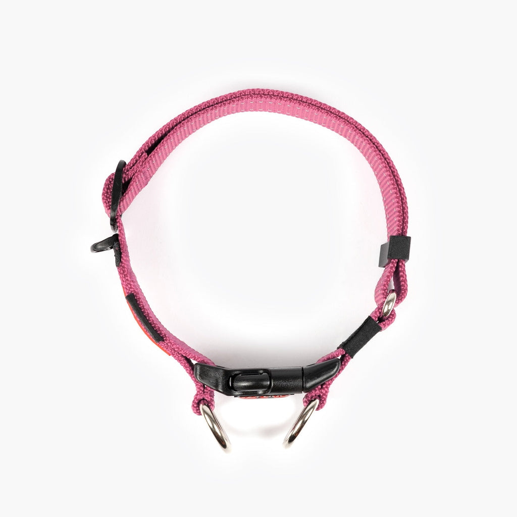 Double Up™ Collar