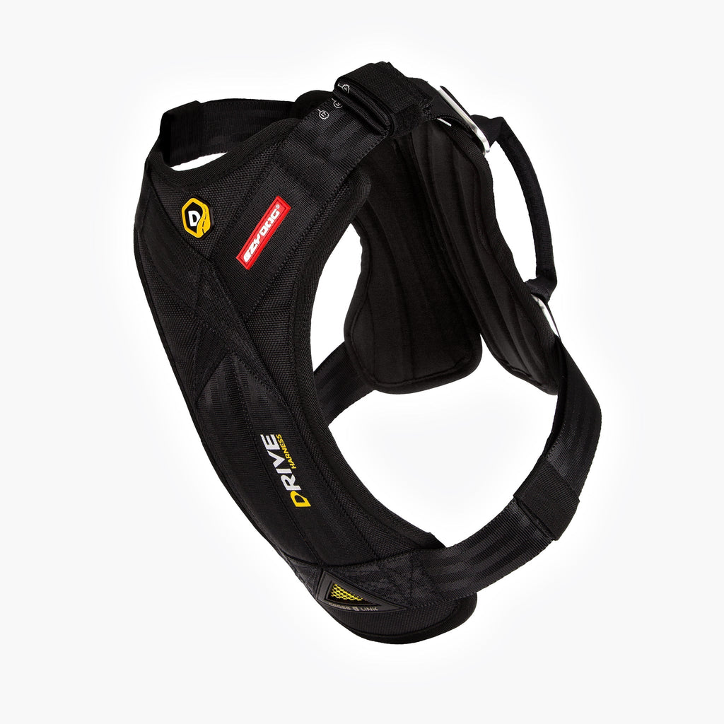 Let’s Go for a Ride Dog Travel Bundle