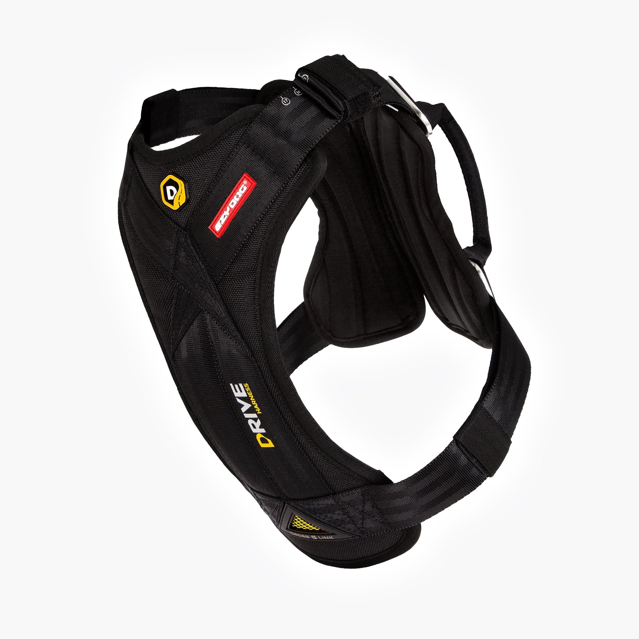 Let’s Go for a Ride Dog Travel Bundle