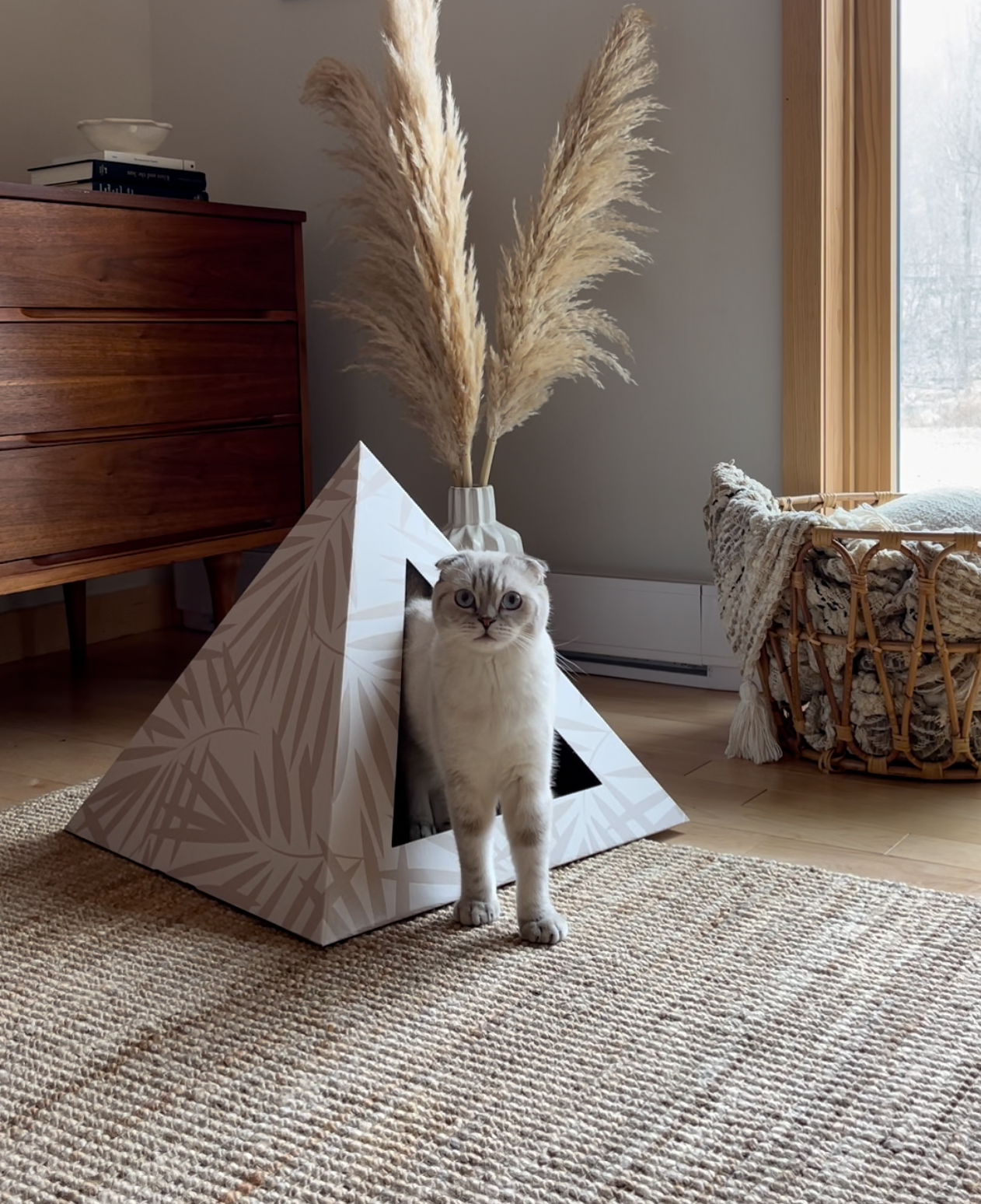 Kitty Kardboard® 'Neutral Palm' Cat Pyramid