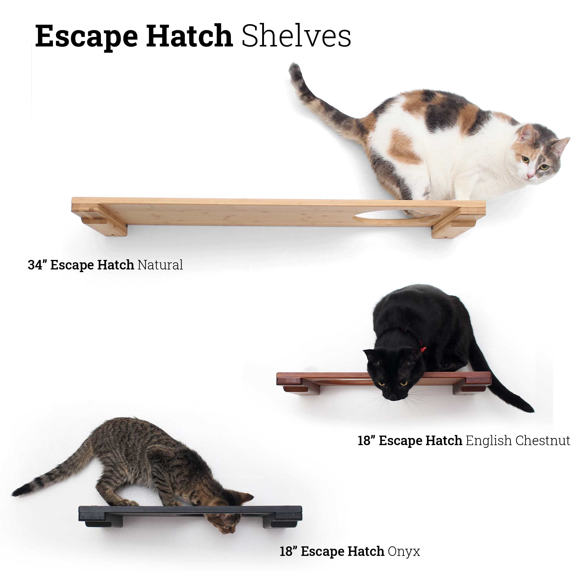 Catastrophic Creations Wall Mounted Cat Shelf