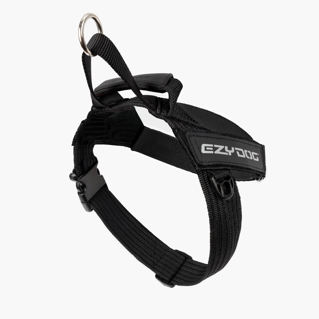 Express™ Dog Harness