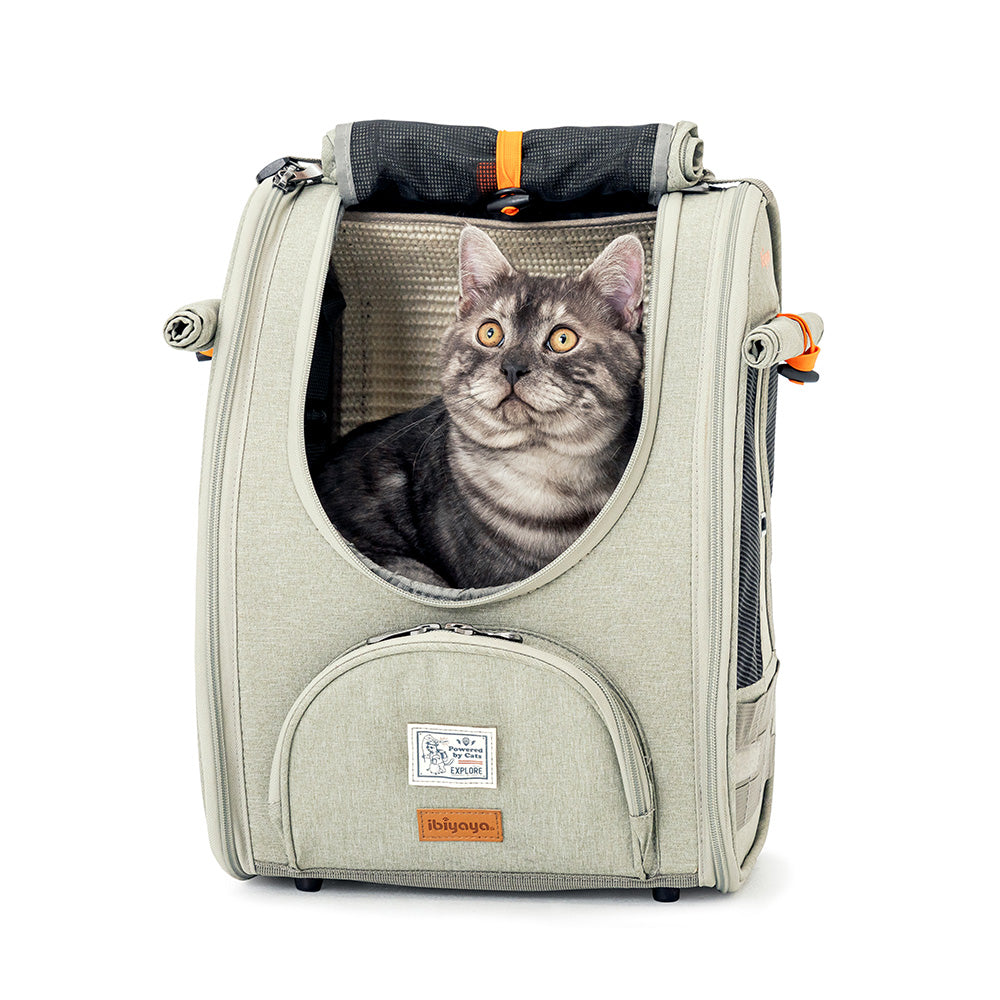 Ibiyaya Adventure Cat/Bunny/Puppy Carrier Backpack with Window, Large Airline Approved Cat Bag for Hiking & Travel. Best for both Kitten & Fat Cat