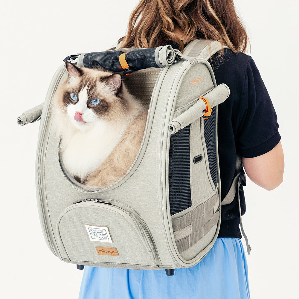 Ibiyaya Adventure Cat/Bunny/Puppy Carrier Backpack with Window, Large Airline Approved Cat Bag for Hiking & Travel. Best for both Kitten & Fat Cat