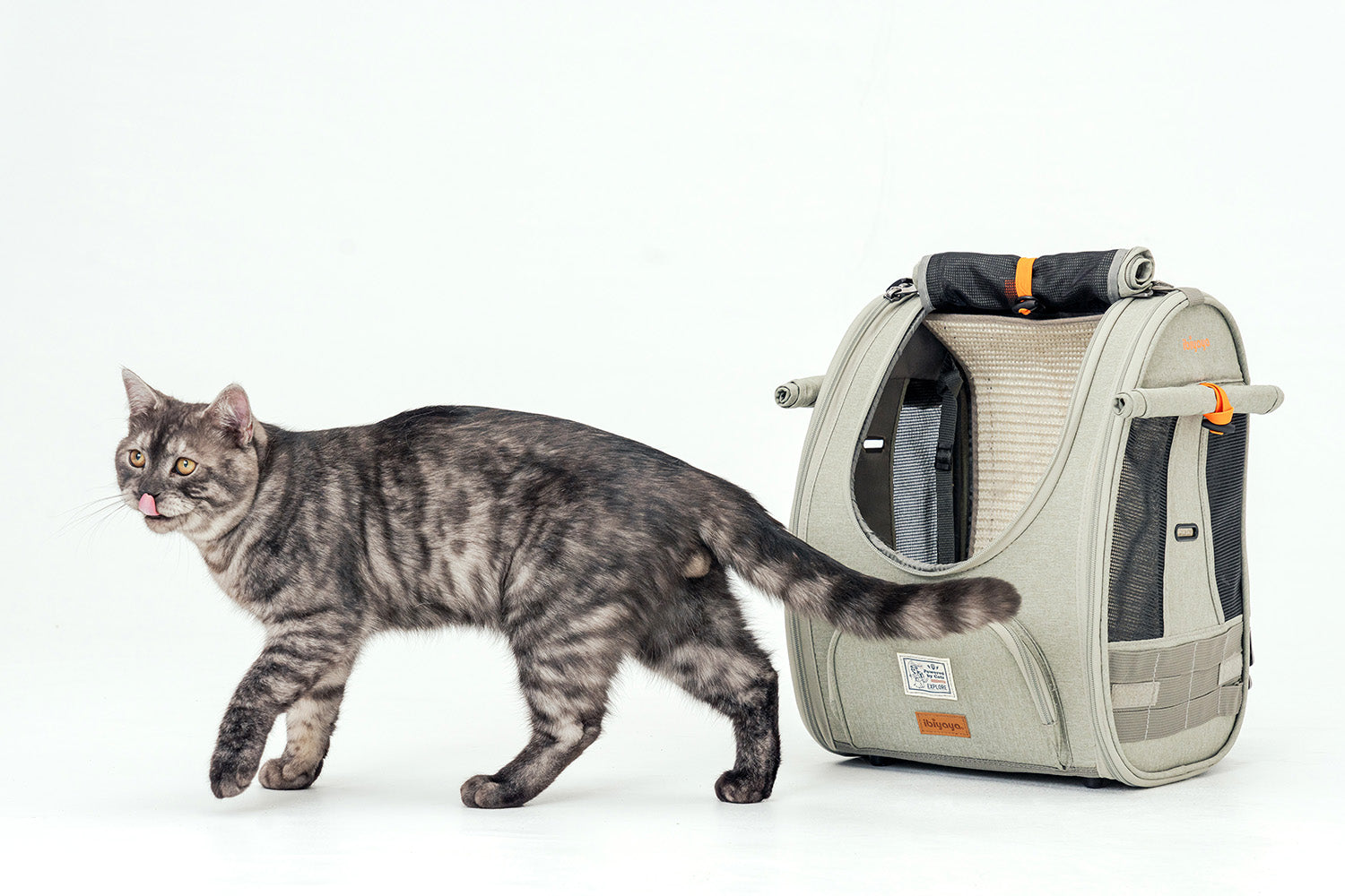 Ibiyaya Adventure Cat/Bunny/Puppy Carrier Backpack with Window, Large Airline Approved Cat Bag for Hiking & Travel. Best for both Kitten & Fat Cat