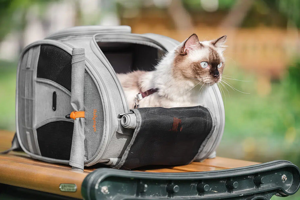 Ibiyaya Adventure Cat/Bunny/Puppy Carrier Backpack with Window, Large Airline Approved Cat Bag for Hiking & Travel. Best for both Kitten & Fat Cat