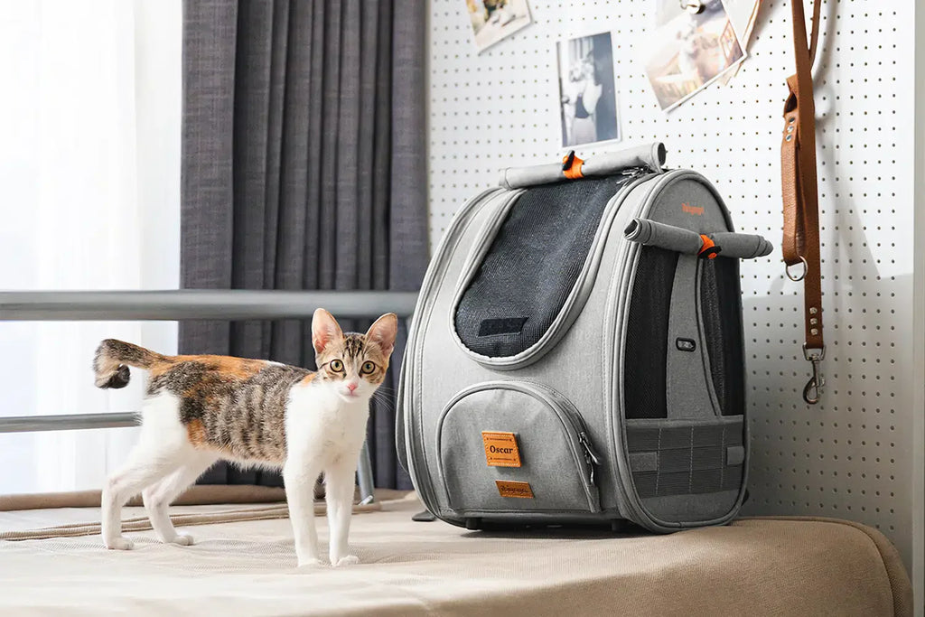 Ibiyaya Adventure Cat/Bunny/Puppy Carrier Backpack with Window, Large Airline Approved Cat Bag for Hiking & Travel. Best for both Kitten & Fat Cat