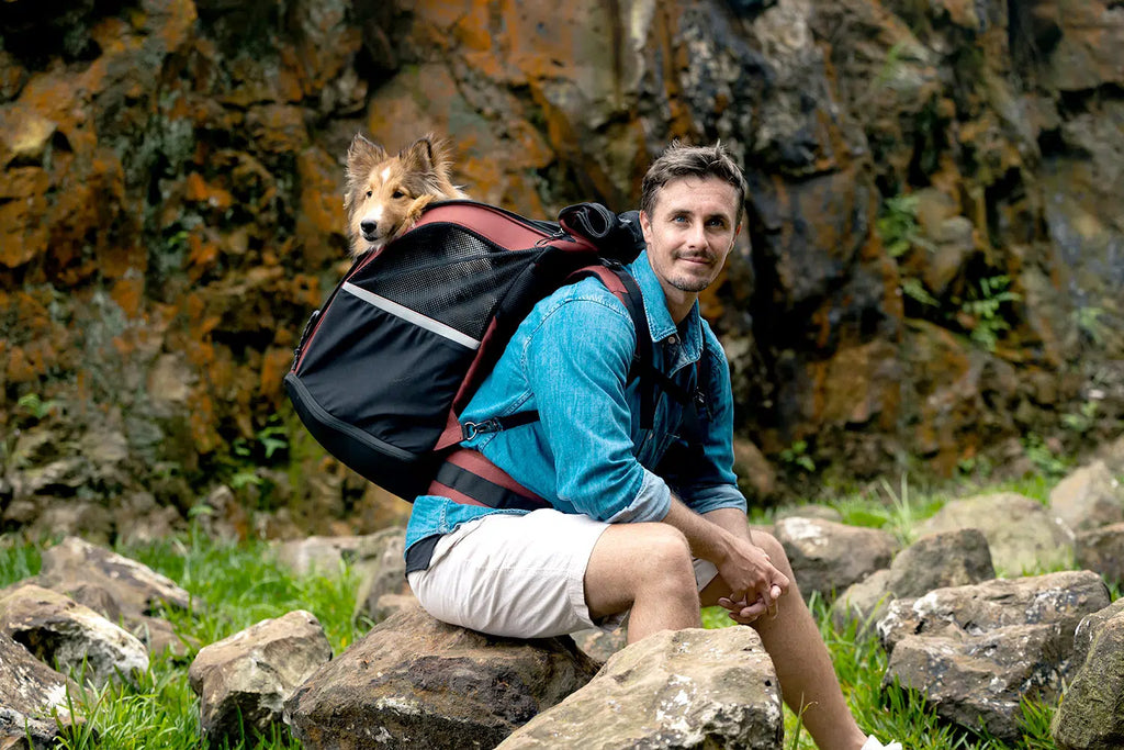 Ibiyaya Champion Large Dog/Cat Carrier Backpack with Window 3-in-1 Travel Backpack & Car Seat Booster