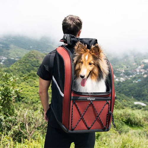 Ibiyaya Champion Large Dog/Cat Carrier Backpack with Window 3-in-1 Travel Backpack & Car Seat Booster