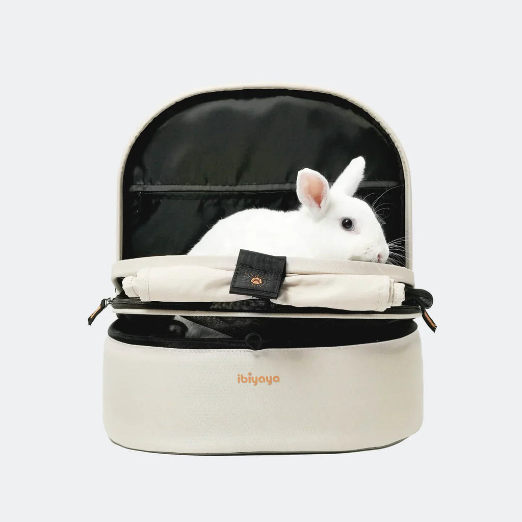 Ibiyaya Panorama Zipper-Free Small Pet Travel Carrier, Cat-Dog Chest Carrier, Airline-Approved Pet Backpack