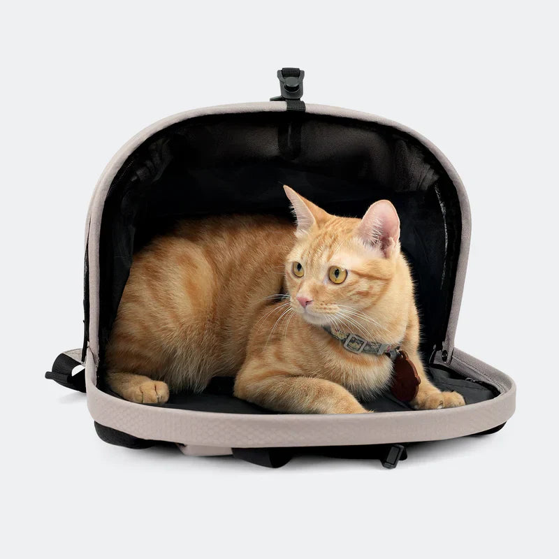 Ibiyaya Panorama Zipper-Free Small Pet Travel Carrier, Cat-Dog Chest Carrier, Airline-Approved Pet Backpack