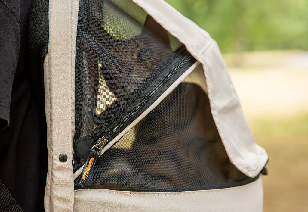 Ibiyaya Panorama Zipper-Free Small Pet Travel Carrier, Cat-Dog Chest Carrier, Airline-Approved Pet Backpack