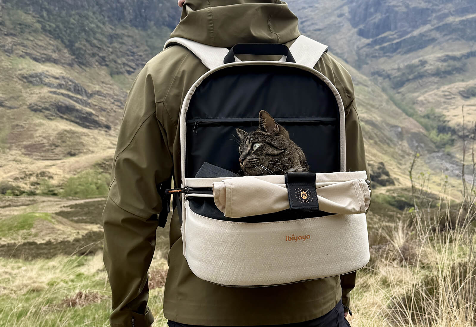 Ibiyaya Panorama Zipper-Free Small Pet Travel Carrier, Cat-Dog Chest Carrier, Airline-Approved Pet Backpack