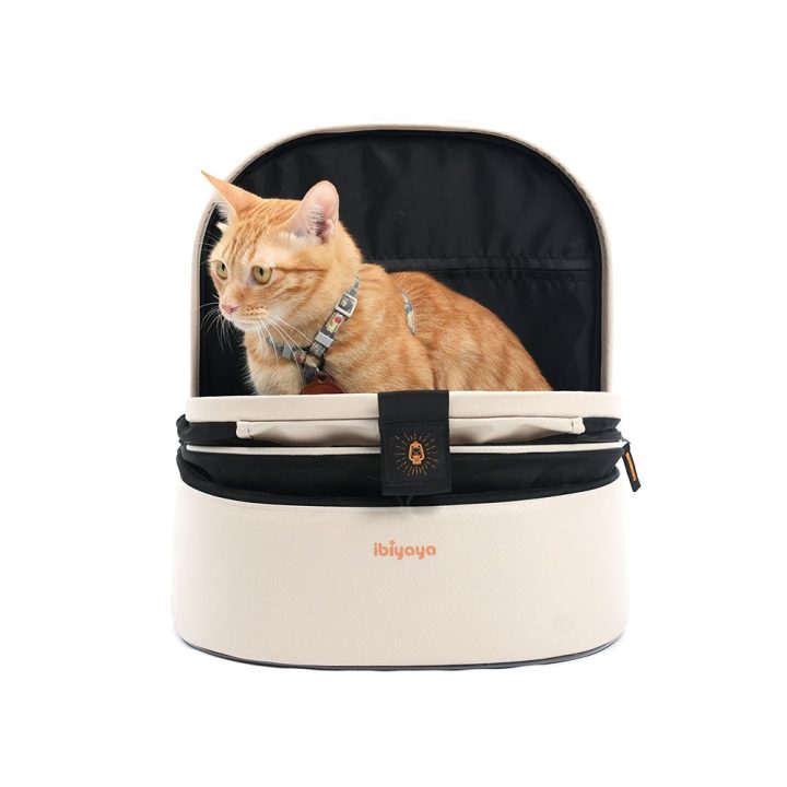 Ibiyaya Panorama Zipper-Free Small Pet Travel Carrier, Cat-Dog Chest Carrier, Airline-Approved Pet Backpack
