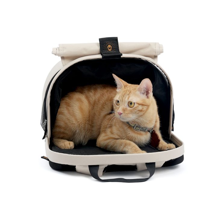 Ibiyaya Panorama Zipper-Free Small Pet Travel Carrier, Cat-Dog Chest Carrier, Airline-Approved Pet Backpack