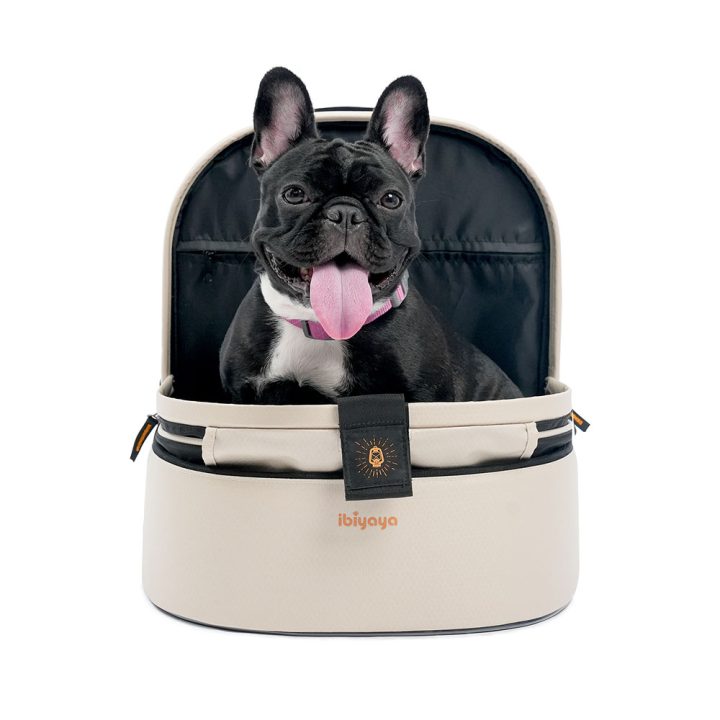 Ibiyaya Panorama Zipper-Free Small Pet Travel Carrier, Cat-Dog Chest Carrier, Airline-Approved Pet Backpack