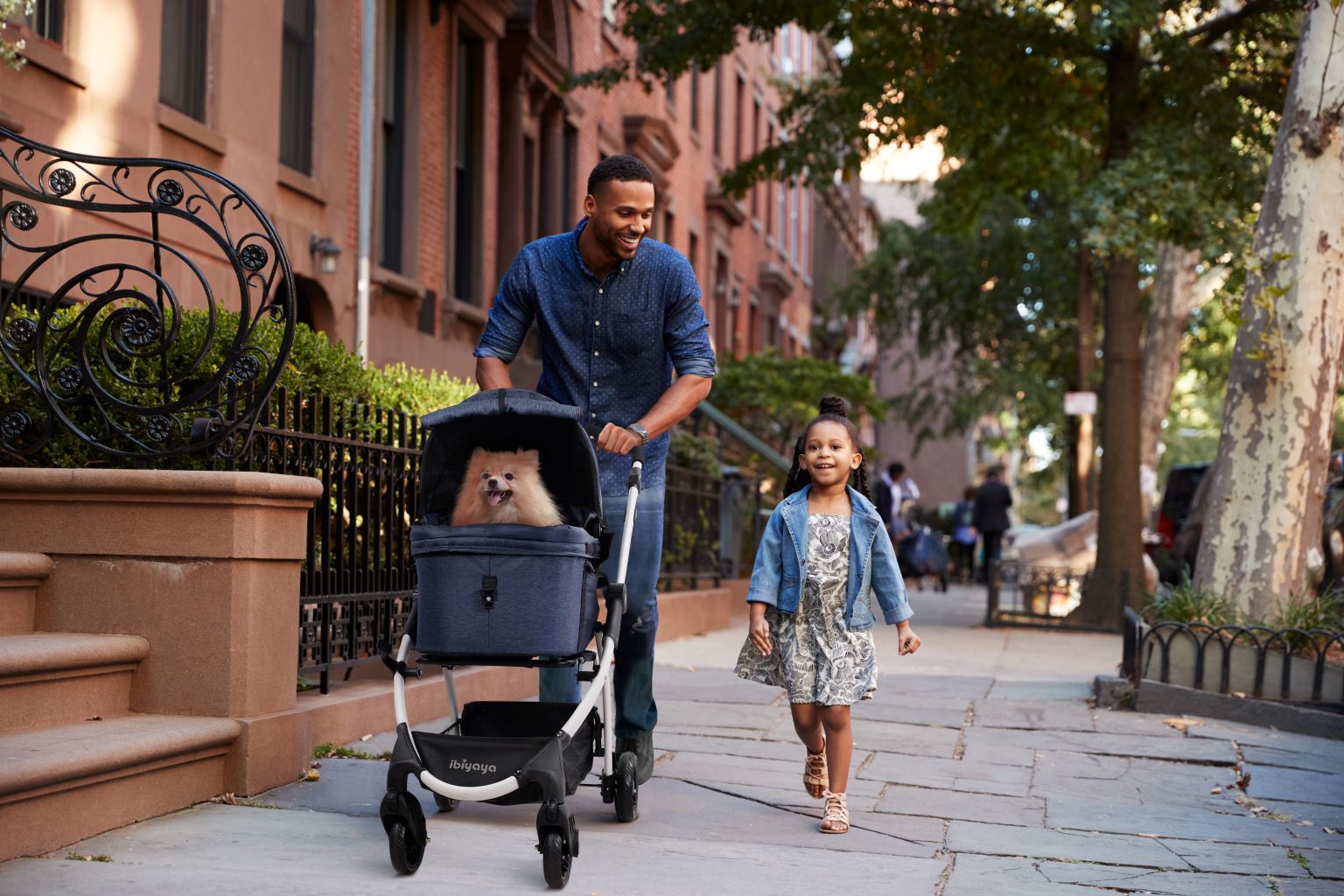 Ibiyaya CLEO Travel System Pet Stroller Best Medium-Sized Dog, Cat, & Rabbit Stroller Foldable, Luxury-Designed Detachable Carrier