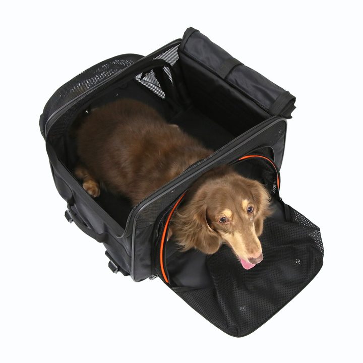 Ibiyaya JetPaw: 3-in-One Pet Stroller with Removable Airline-Approved Carrier Expandable Rolling Pet Carrier-Backpack for Dogs & Cats