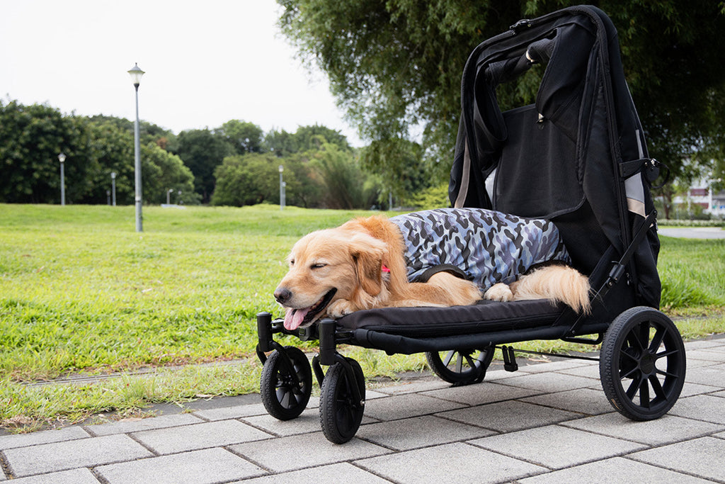Ibiyaya Grand Cruiser Large Dog Stroller, 4-Wheel Foldable Big Dog Pram for Large Breeds, Senior & Injured Pets
