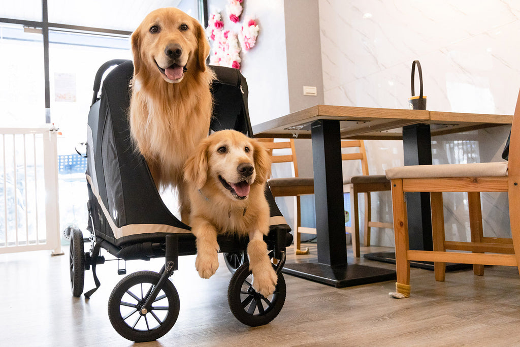 Ibiyaya Grand Cruiser Large Dog Stroller, 4-Wheel Foldable Big Dog Pram for Large Breeds, Senior & Injured Pets