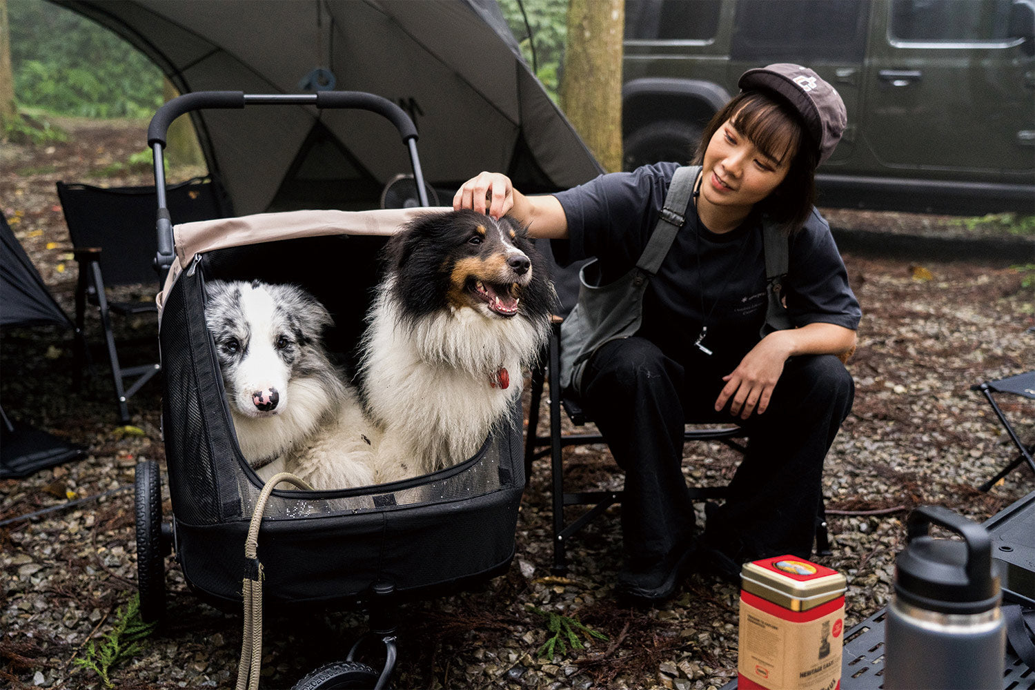 Ibiyaya Minika 3-in-1 Pet Stroller System with Foldable Dog Bicycle Trailer & Indoor-Outdoor Kennel