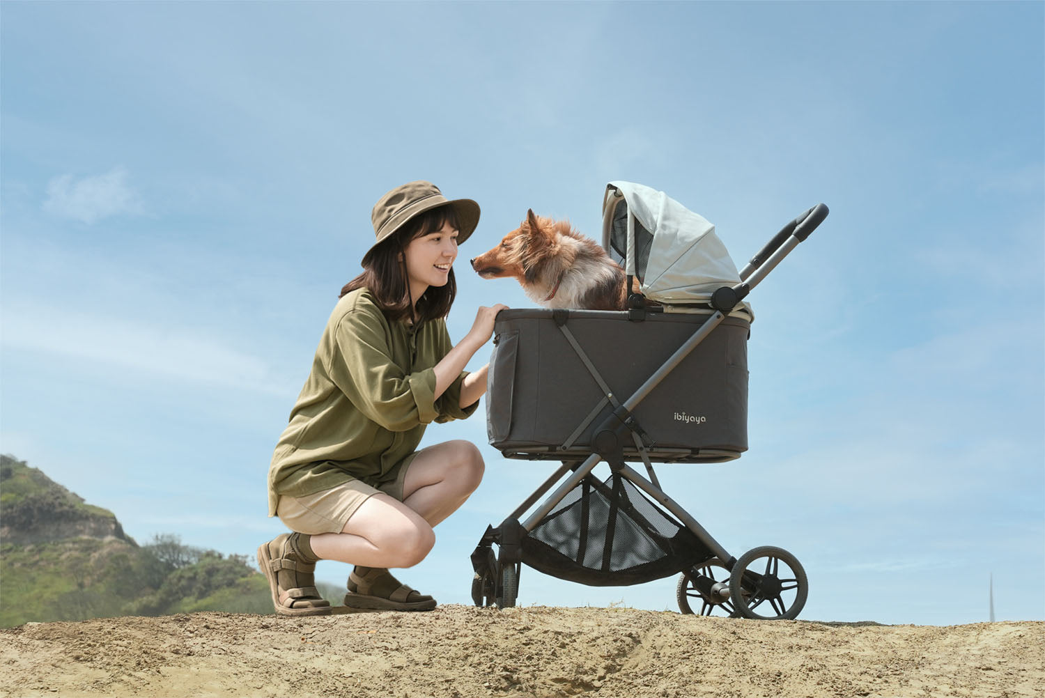 Ibiyaya Maxi Deep Carriage Pet Stroller with Puncture-Free Rubber Wheels, Lightweight and Collapsible