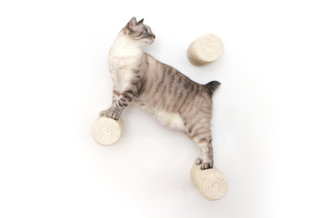 Catastrophic Creations Floating Cat Step for Wall