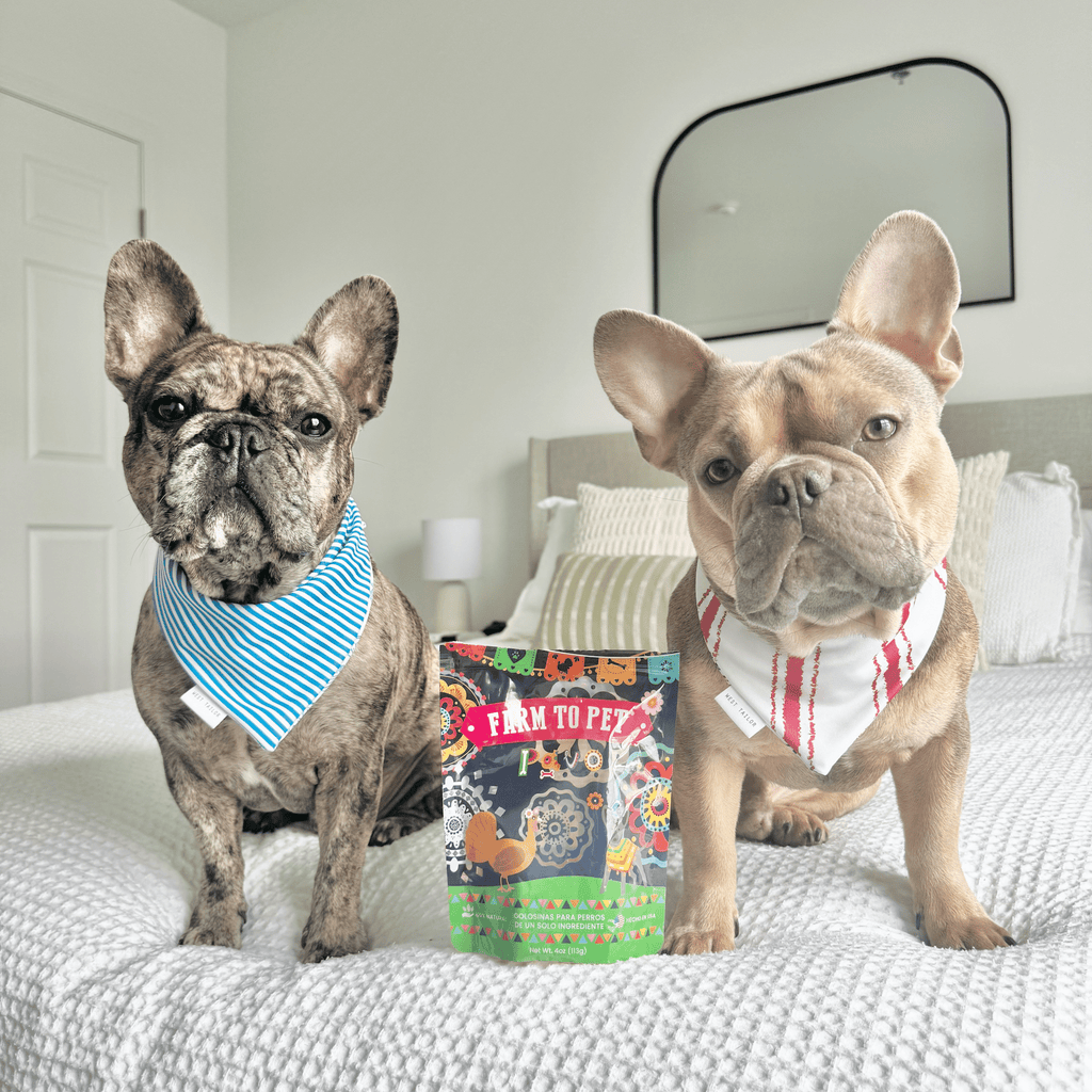 Farm to Pet Premios Para Perros Fiesta Pack | Dog Treat Variety Bundle