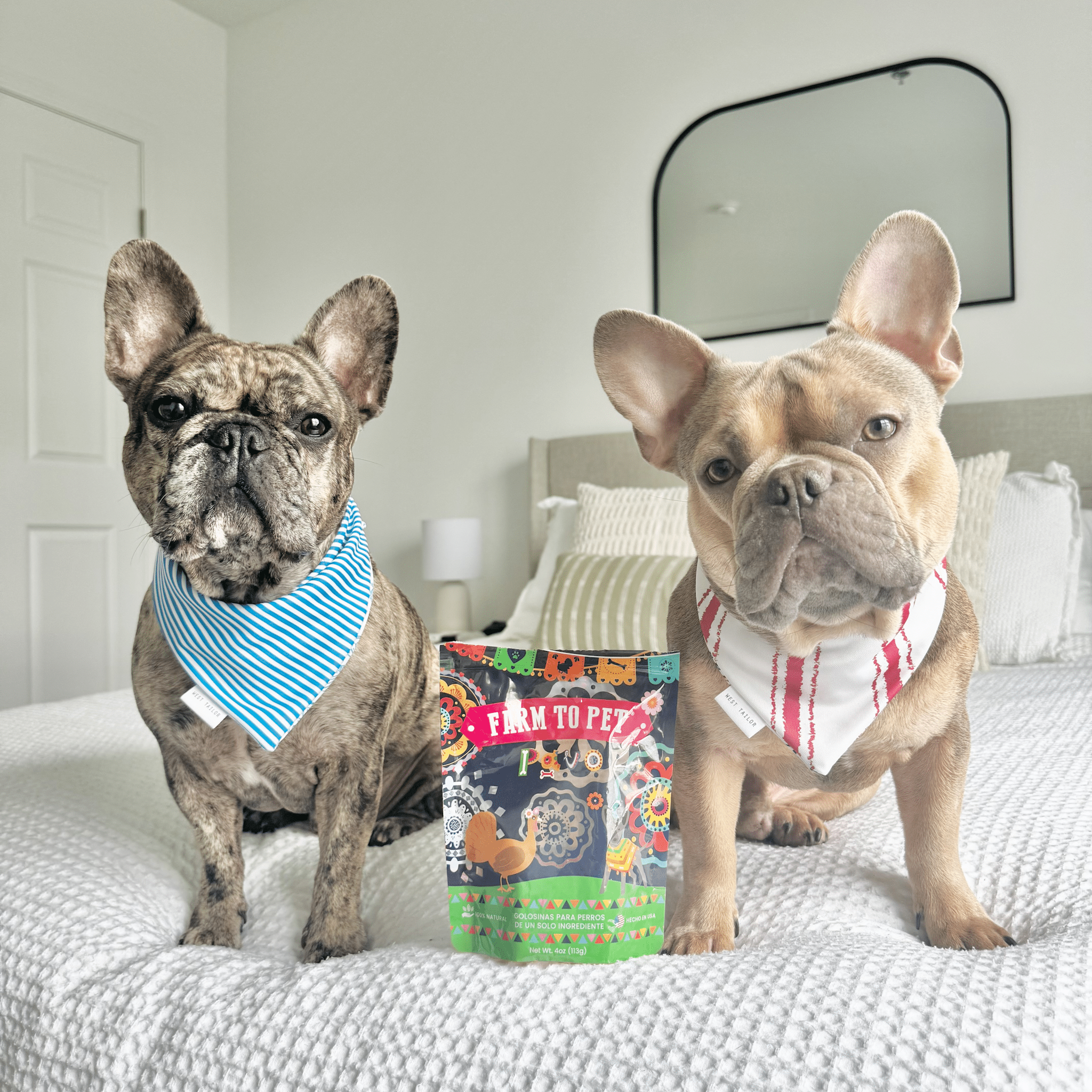Farm to Pet Premios Para Perros Fiesta Pack | Dog Treat Variety Bundle