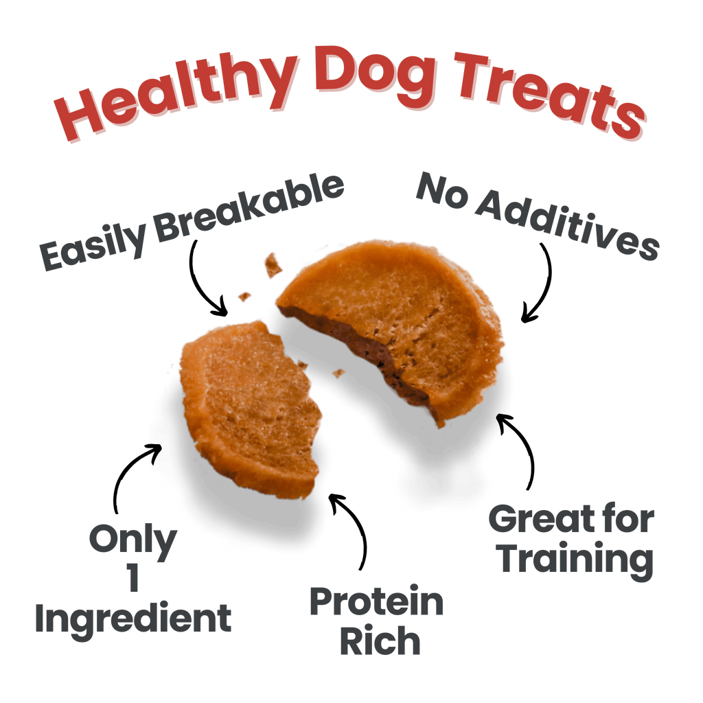 Pets Love Chips Bundle