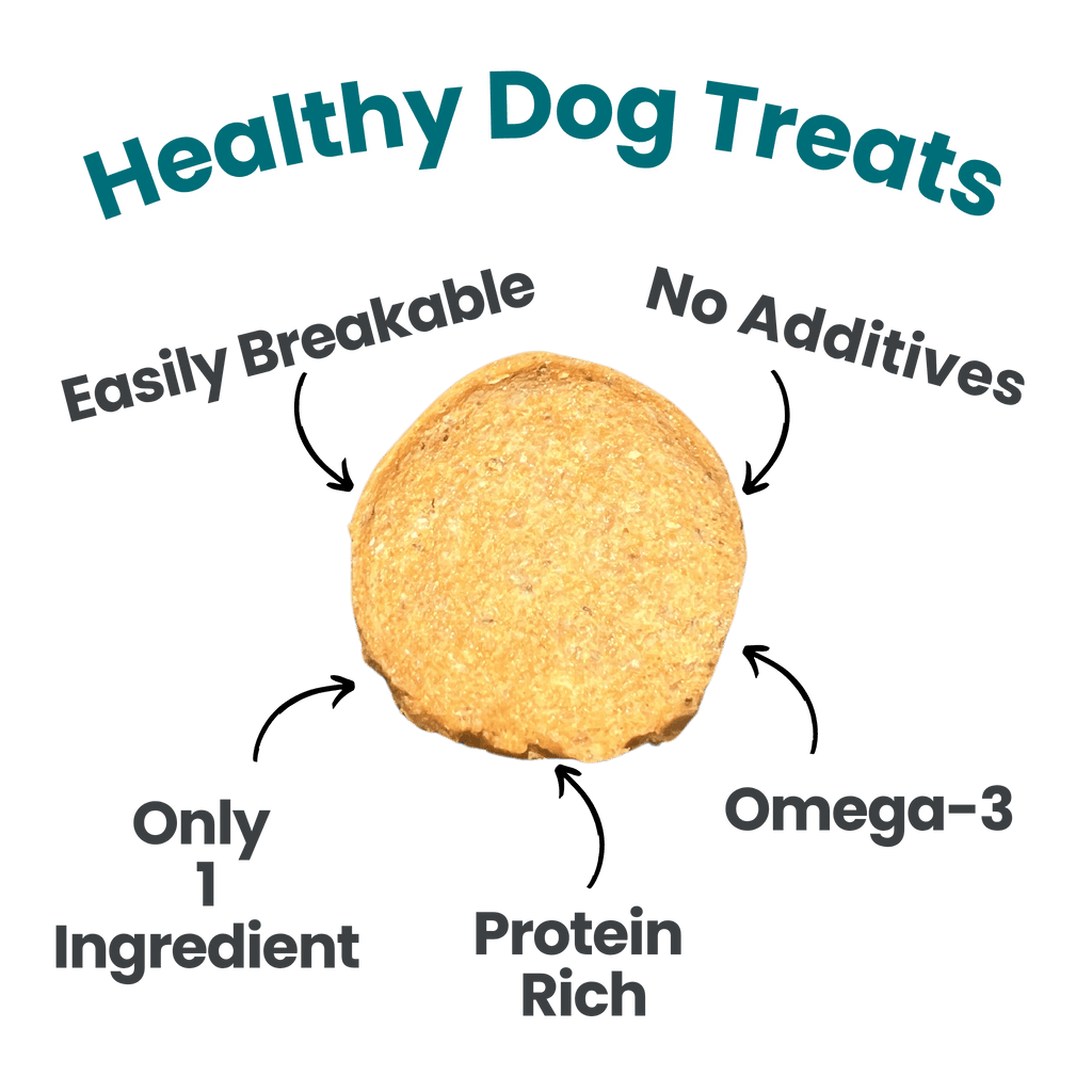 Fish Chips Snack Pack Bundles | Dog Treats for Training & Travel