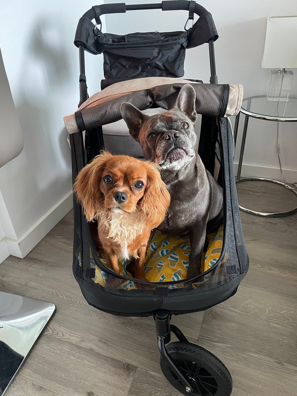 Ibiyaya Minika 3-in-1 Pet Stroller System with Foldable Dog Bicycle Trailer & Indoor-Outdoor Kennel