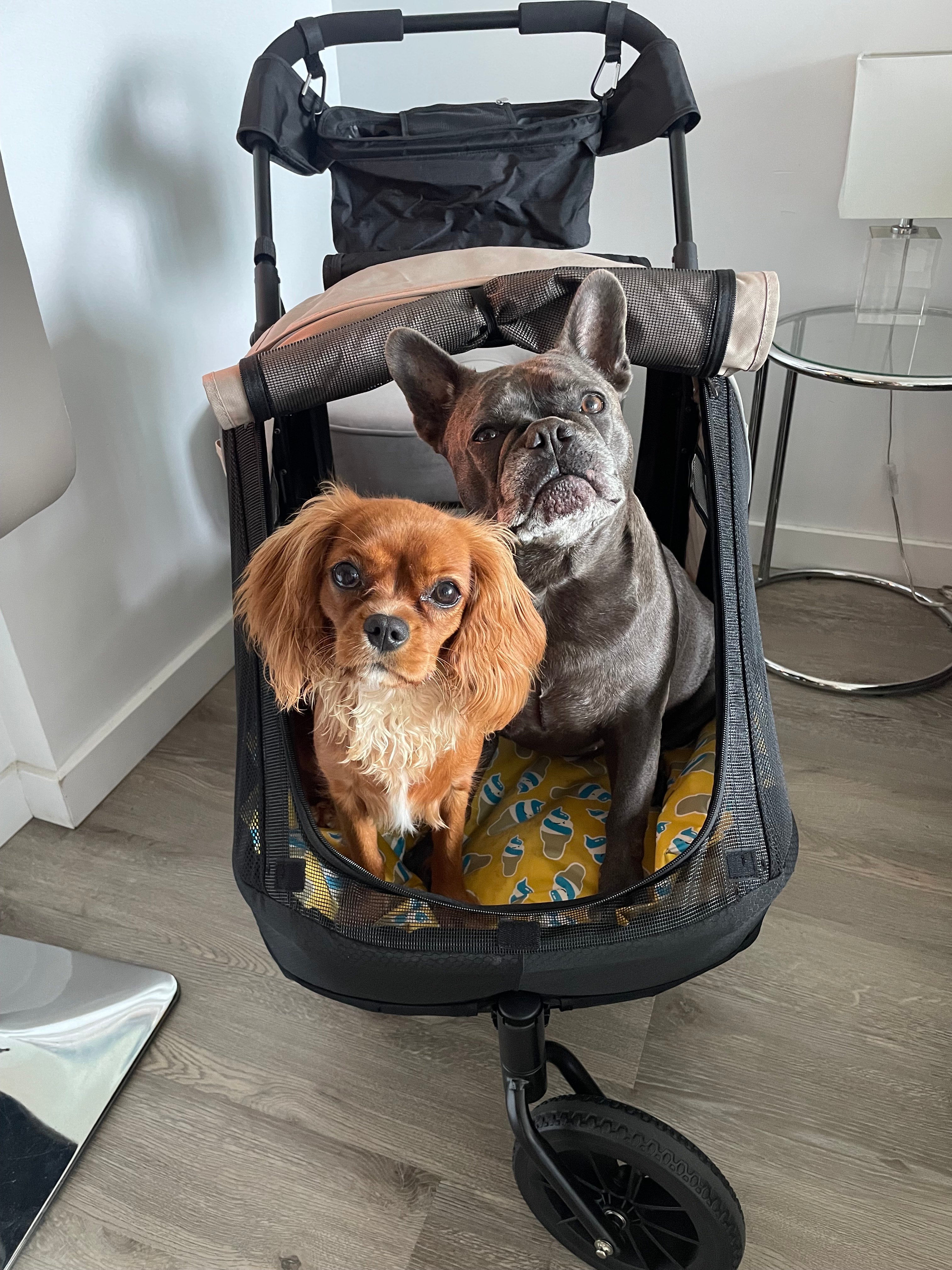 Ibiyaya Minika 3-in-1 Pet Stroller System with Foldable Dog Bicycle Trailer & Indoor-Outdoor Kennel